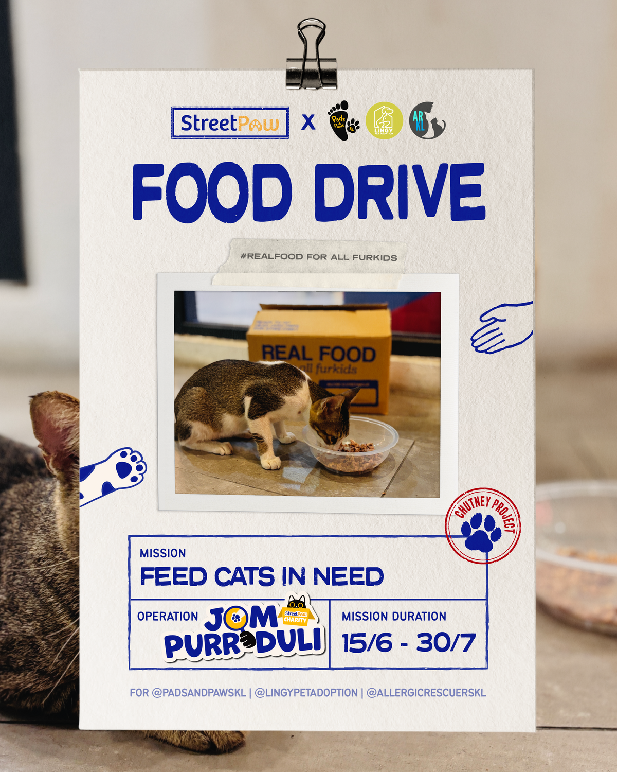 [END: DELIVERY ON 27/8] Chutney Project for Cats: Jom Purr-duli Food Drive for Pads & Paws KL | LINGY | Allergic Rescuers KL