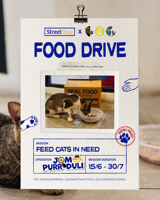 [END: DELIVERY ON 27/8] Chutney Project for Cats: Jom Purr-duli Food Drive for Pads & Paws KL | LINGY | Allergic Rescuers KL