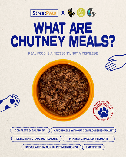 [END: DELIVERY ON 27/8] Chutney Project for Cats: Jom Purr-duli Food Drive for Pads & Paws KL | LINGY | Allergic Rescuers KL